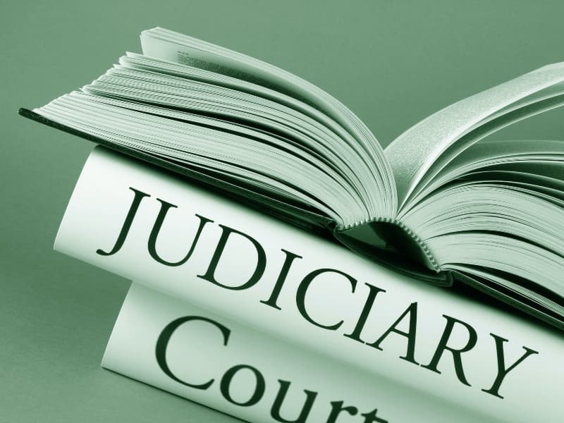 Judicial review written on spine of book
