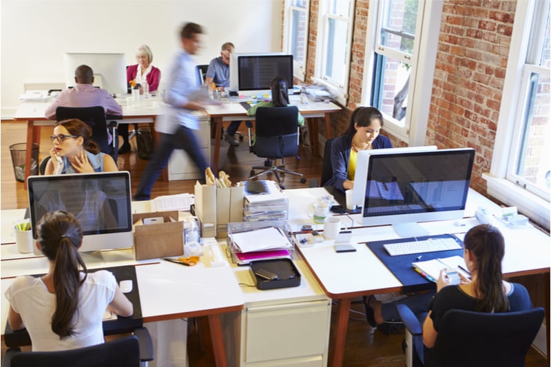 solicitors working in an office