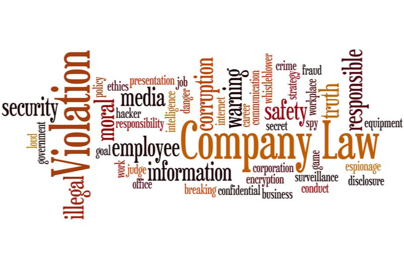 company law infographic